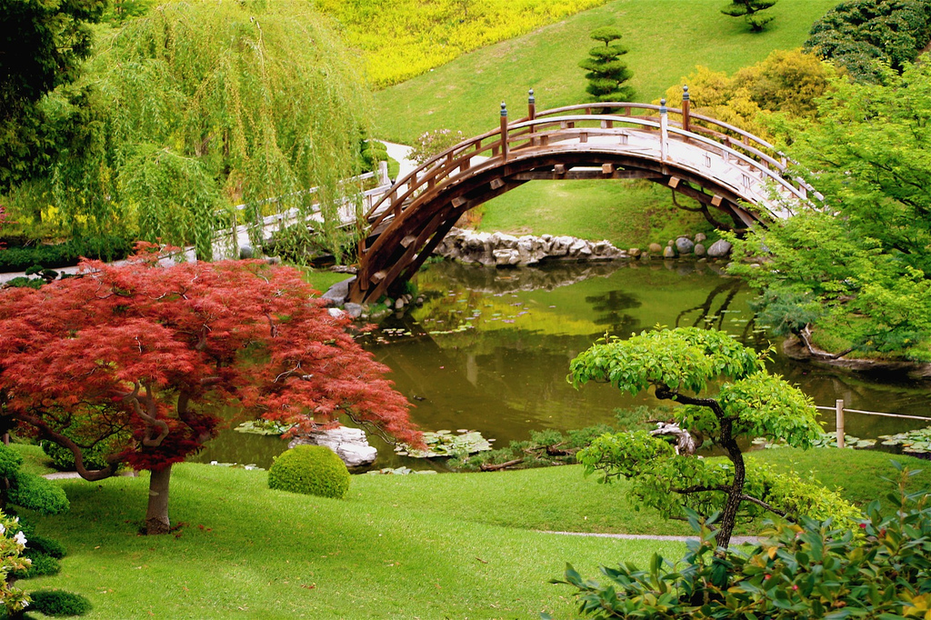 Японский сад в ландшафтном дизайне - 3
